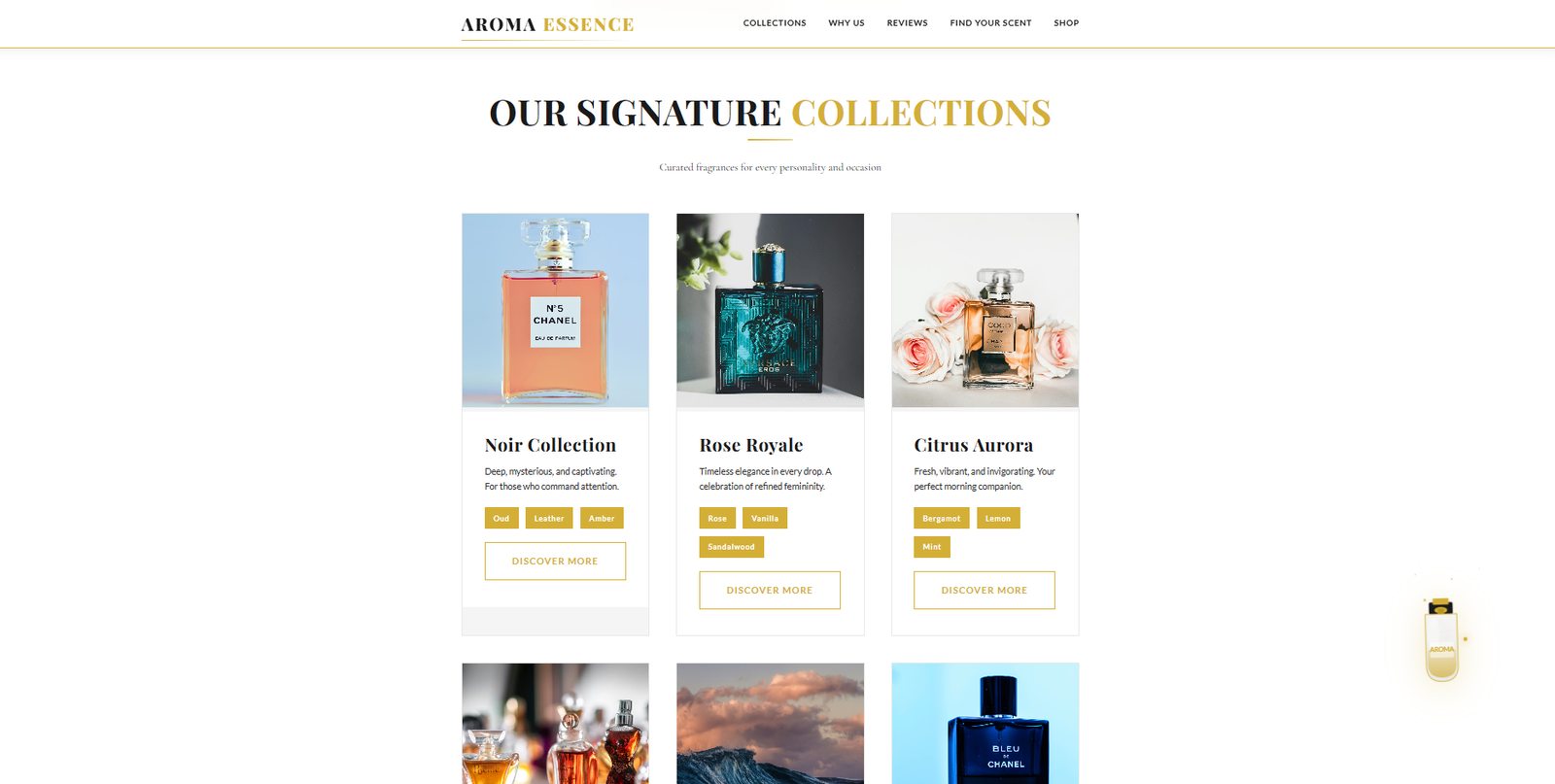 صورة من معرض المشروع